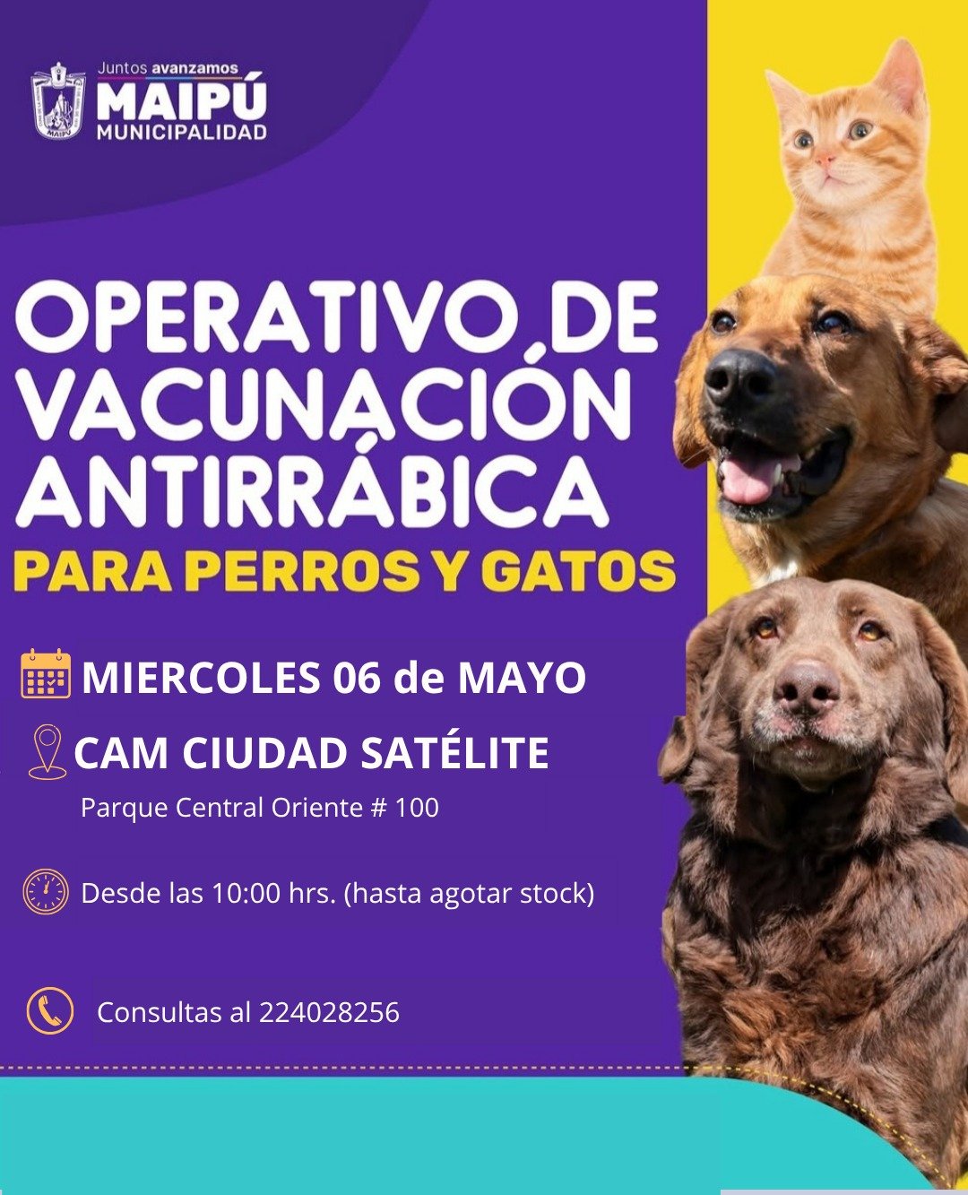 Operativo de Vacunación Antirrábica para Perros y Gatos